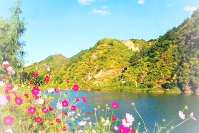 北京怀柔银河谷市级森林公园