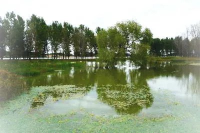 北京顺义潮白河森林公园