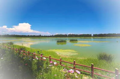 北京顺义区森林公园