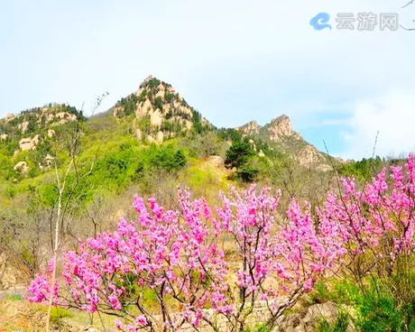 大杨山国家森林公园