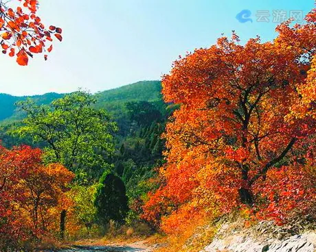 北京大杨山国家森林公园