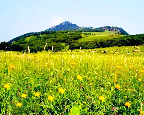 北京百花山自然保护区