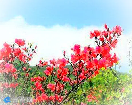 宁国汤公山景区