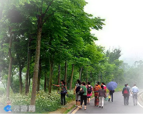 重庆渝北照母山森林公园
