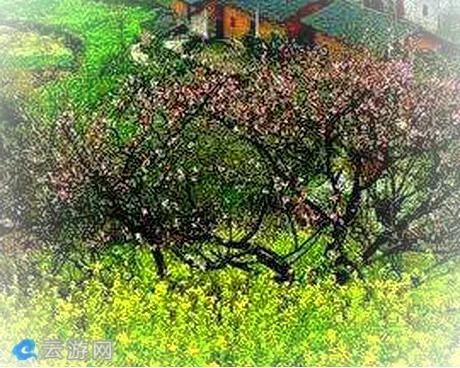 重庆巴南花溪桃花山
