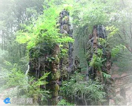 凤阳韭山森林公园