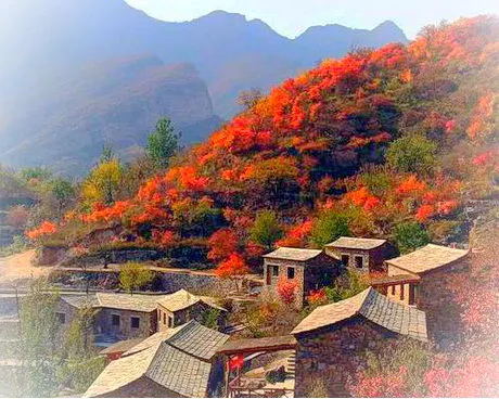 房山坡峰岭景区