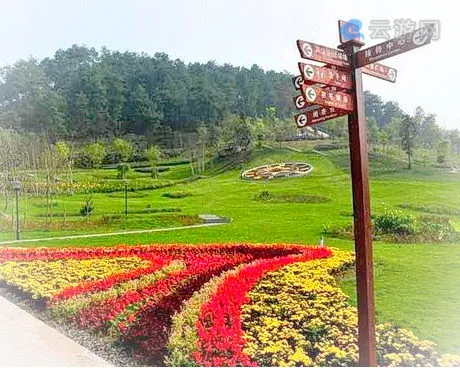 南川永隆山森林公园