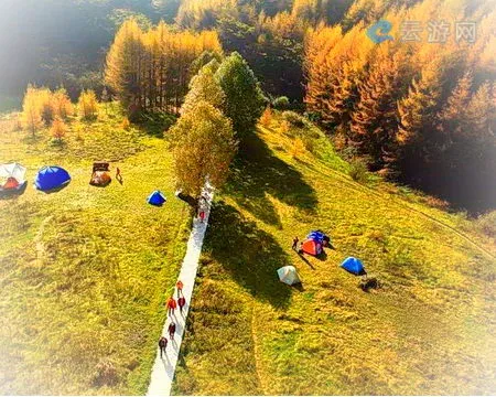 巫山梨子坪森林公园