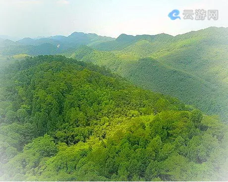 梁平百里竹海