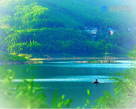 梁平百里竹海