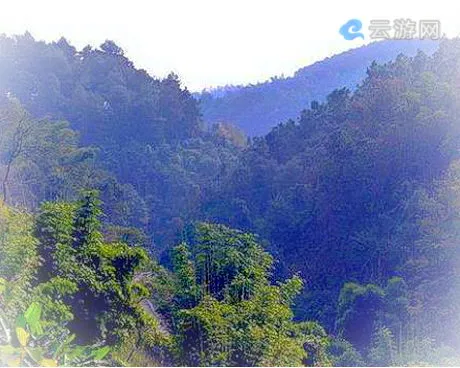 荣昌岚峰森林公园