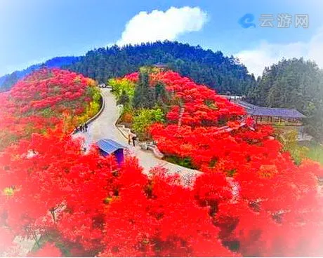巴南五洲红枫园