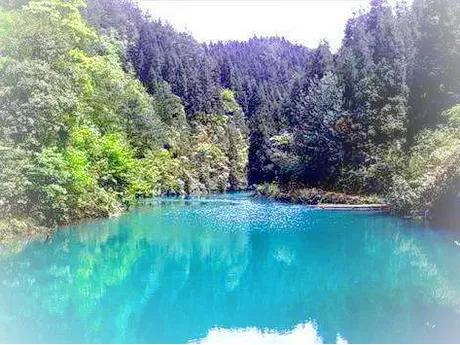 重庆江津大圆洞森林公园