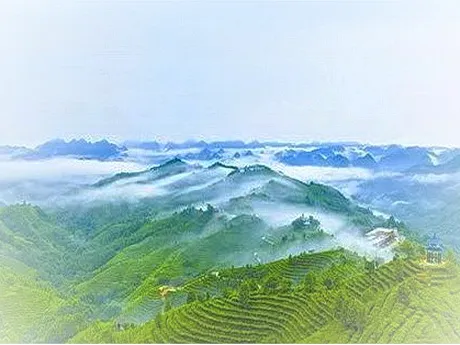 重庆垫江东印茶山景区