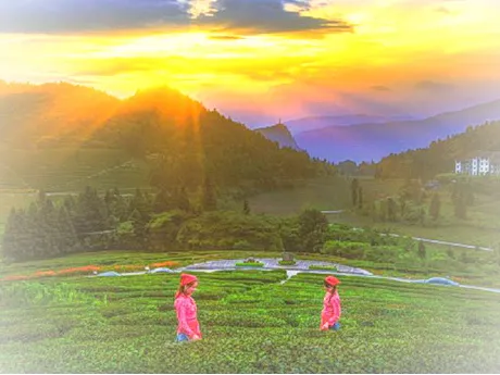 武隆白马山风景区