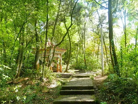 重庆潼南马鞍山森林公园