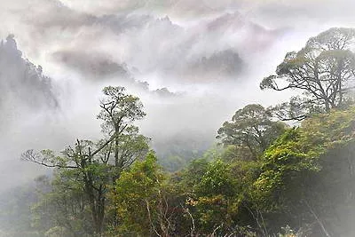 黔东南雷公山森林公园