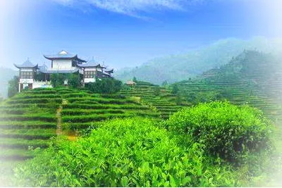 凌云茶山金字塔景区