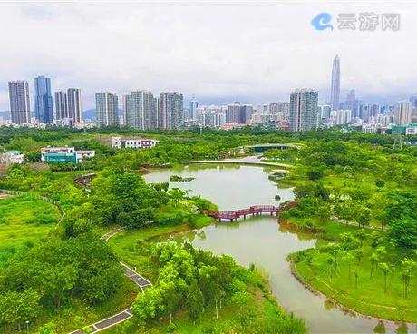 福田红树林生态公园
