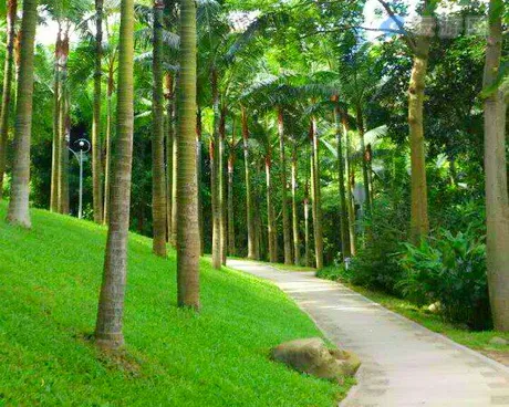 深圳梅林山公园