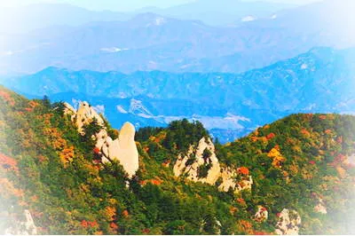 滦平白草洼森林公园