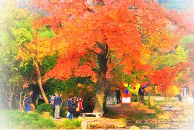 苏州天平山景区