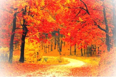 长沙岳麓山风景名胜区