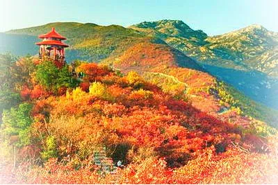 黄岗桐柏山红叶景区(黄岗红叶园)