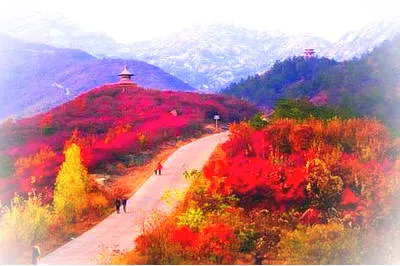 黄岗红叶园