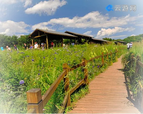 保定野三坡百草畔