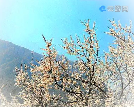 新密凤凰山景区