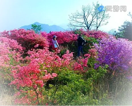 英山天马寨风景区
