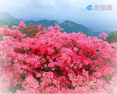 英山天马寨风景区