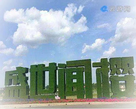 安陆盛世闻樱旅游景区