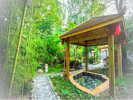 鲁山昭平湖森林温泉