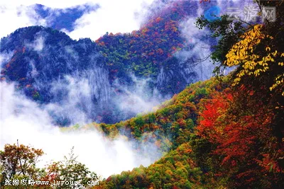 神农架林区神农顶景区