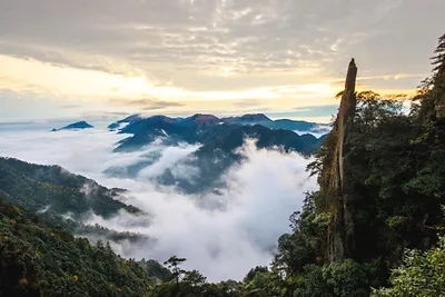 羊狮慕屠龙刀