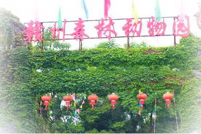赣州森林动物园