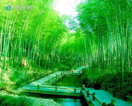 溧阳天目湖南山竹海景区