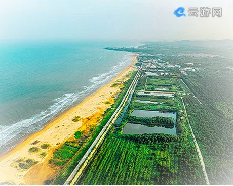 日照海滨国家森林公园