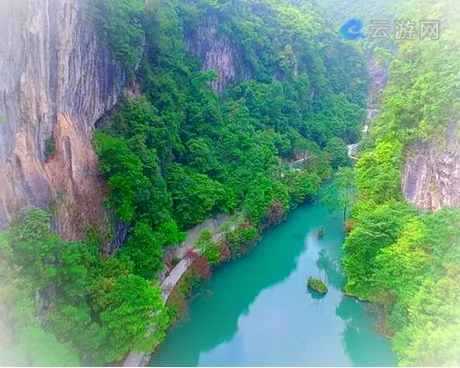 宜昌中亚楠木林景区