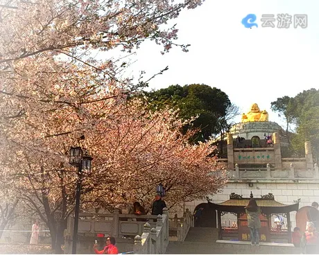苏州上方山国家森林公园