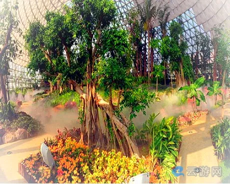 苏州大阳山植物园景区