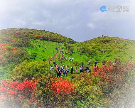 石城八卦脑风景区