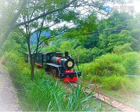 上犹森林小火车