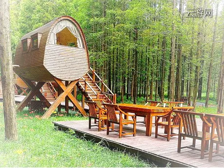 东台黄海海滨国家森林公园