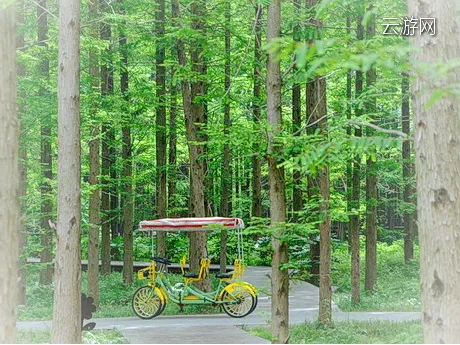 东台黄海海滨国家森林公园