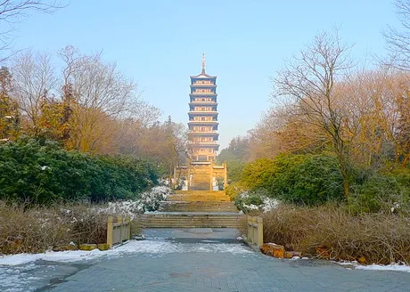 宜兴龙背山森林公园