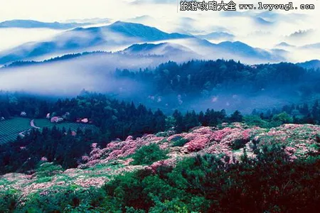 浙江天台山华顶